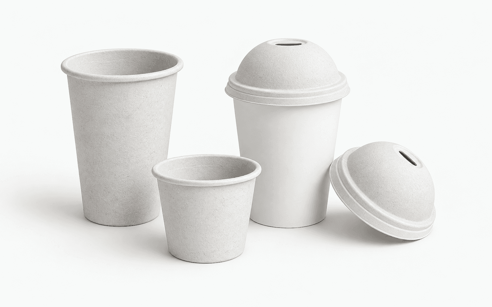 Cups & Lids